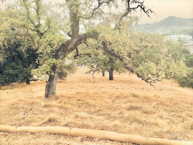 0 Alameda Del Prado Novato, CA 94949 - Photo 24 of 29