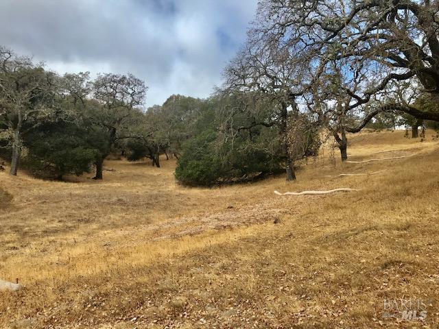 0 Alameda Del Prado Novato, CA 94949 - Photo 26 of 35