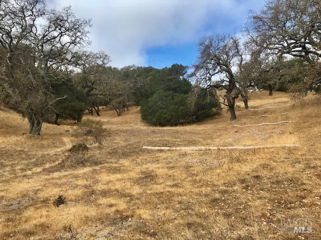 0 Alameda Del Prado Novato, CA 94949 - Photo 27 of 35