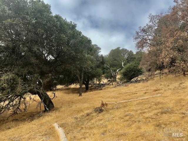 0 Alameda Del Prado Novato, CA 94949 - Photo 29 of 35