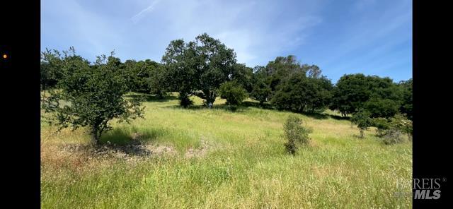 0 Alameda Del Prado Novato, CA 94949 - Photo 4 of 29 Property View.