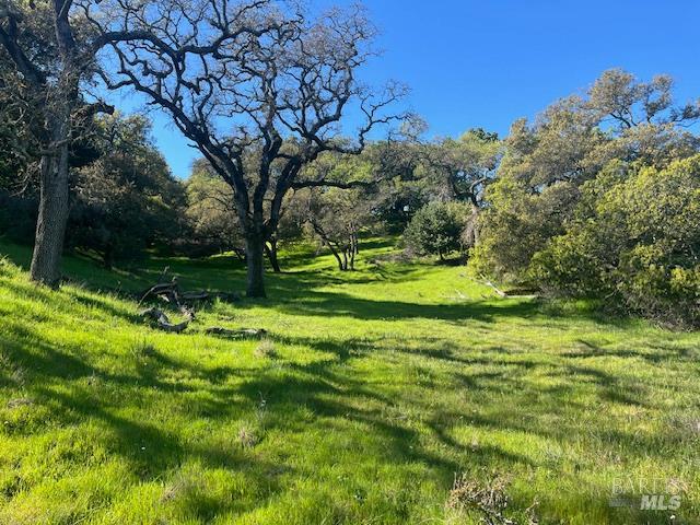 0 Alameda Del Prado Novato, CA 94949 - Photo 4 of 35