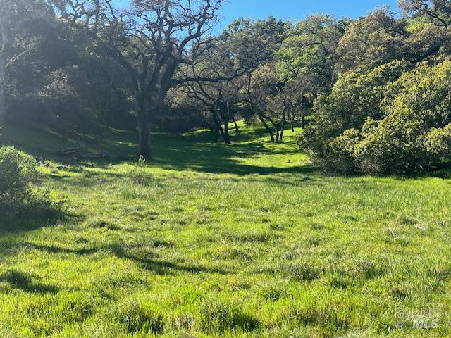 0 Alameda Del Prado Novato, CA 94949 - Photo 6 of 35