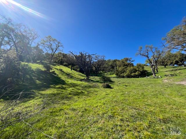 0 Alameda Del Prado Novato, CA 94949 - Photo 7 of 35