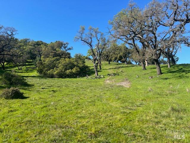 0 Alameda Del Prado Novato, CA 94949 - Photo 9 of 35