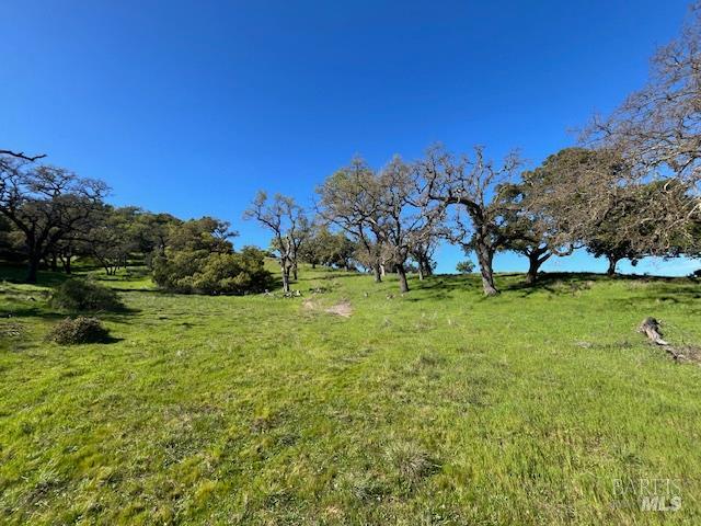 0 Alameda Del Prado Novato, CA 94949 - Photo 10 of 35