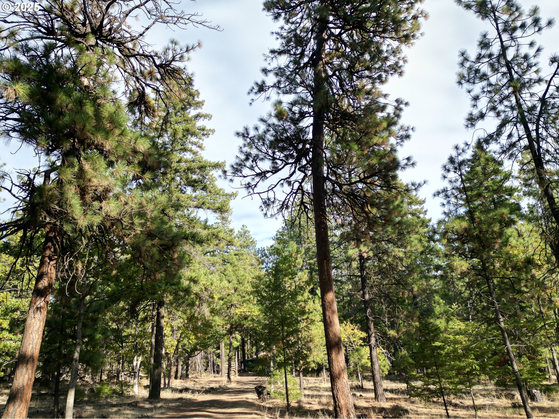 424 Douglas Fir Goldendale, WA 98620 - Photo 28 of 43