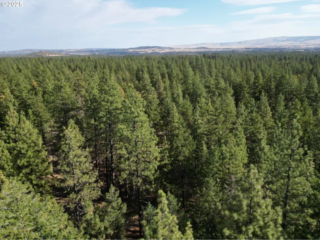 $305,000 | 424 Douglas Fir, Goldendale, WA 98620