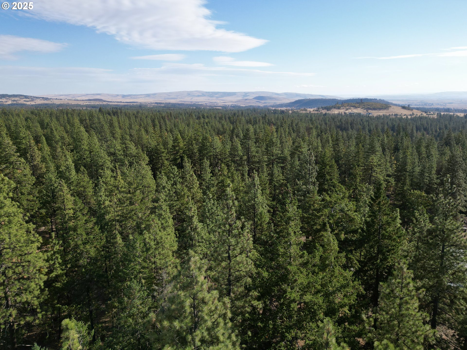 424 Douglas Fir Goldendale, WA 98620 - Photo 39 of 43