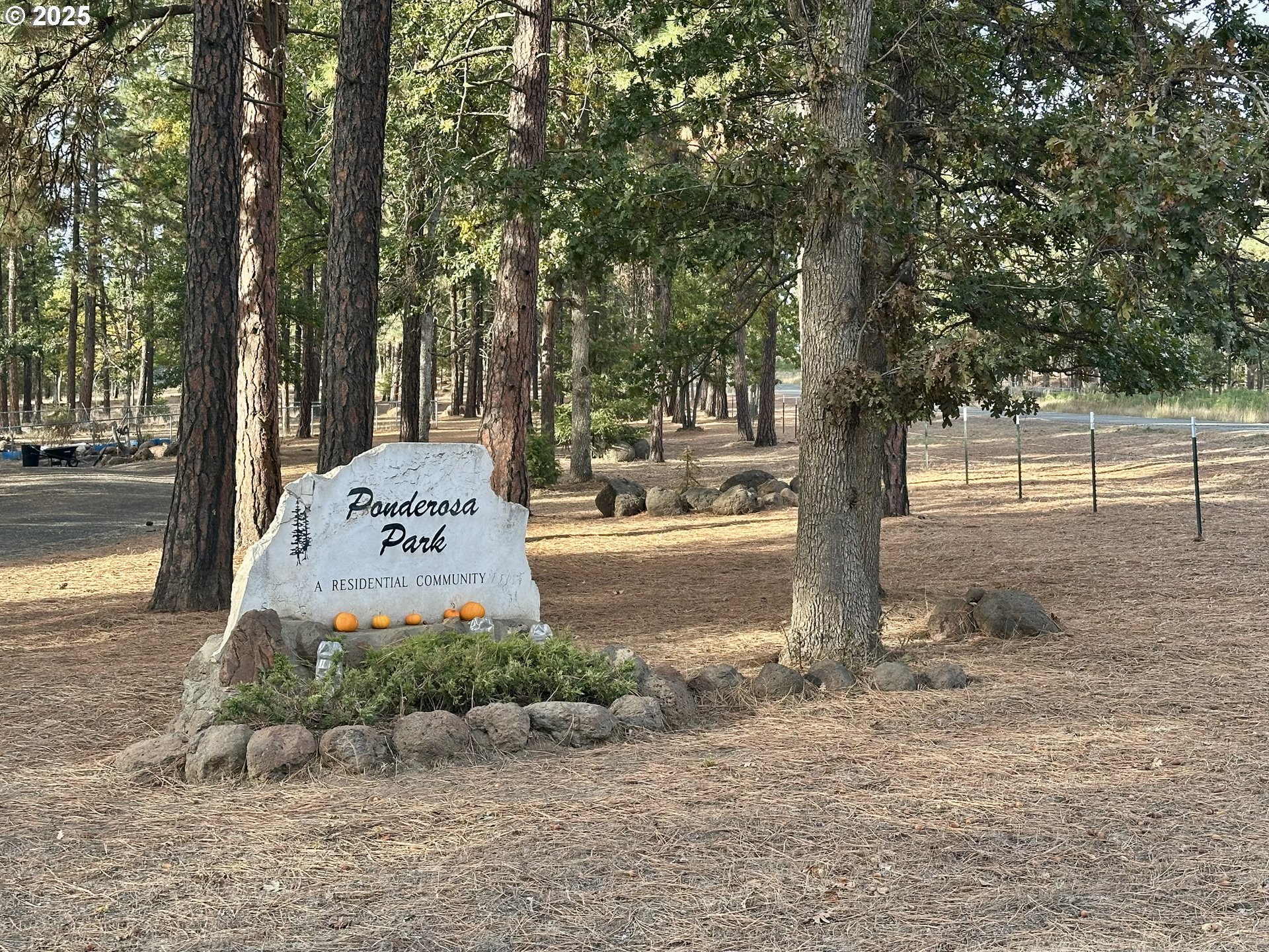 424 Douglas Fir Goldendale, WA 98620 - Photo 42 of 43