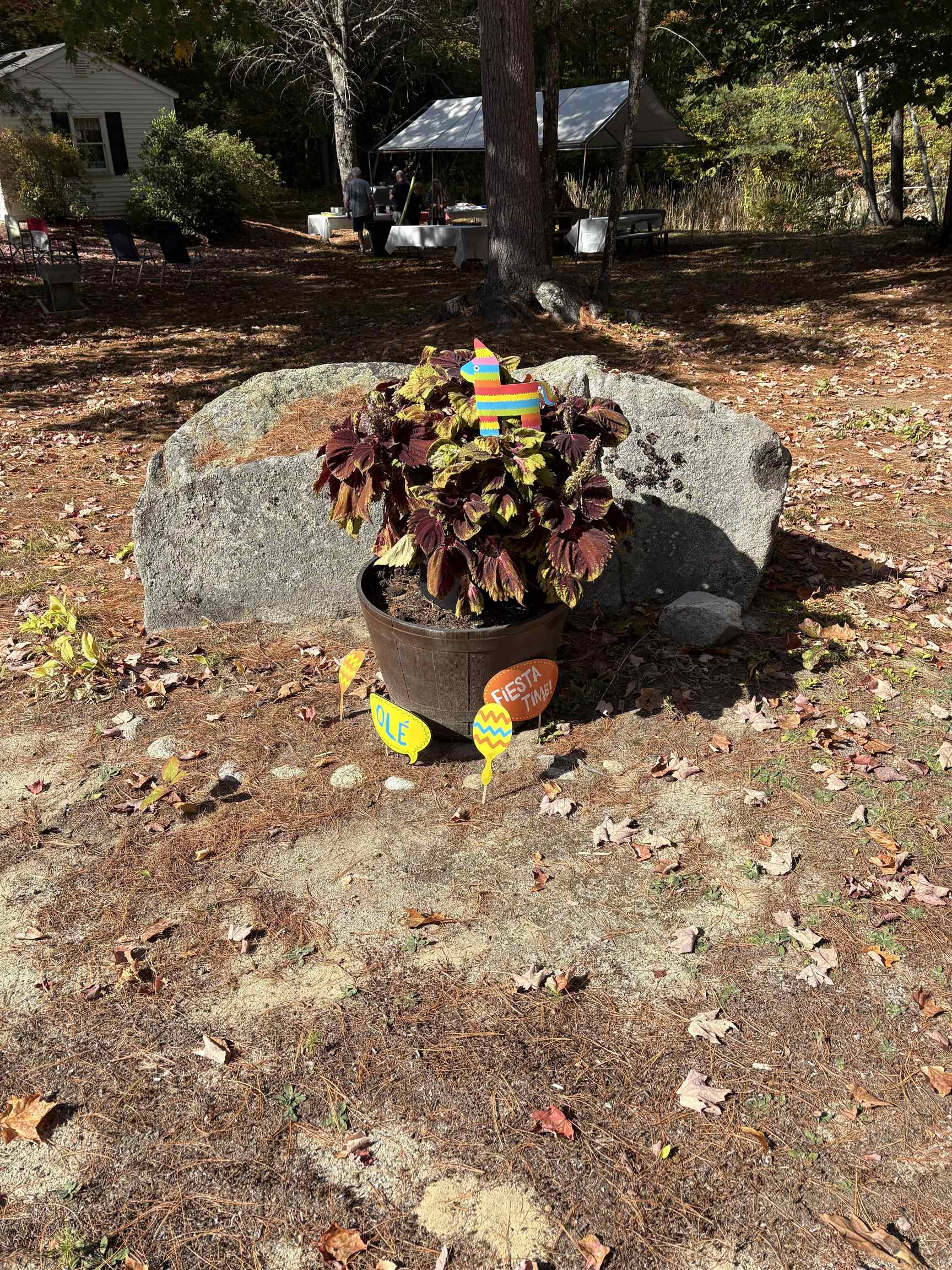 1 Harvey Brook Road Wolfeboro, NH 03894 - Photo 43 of 47