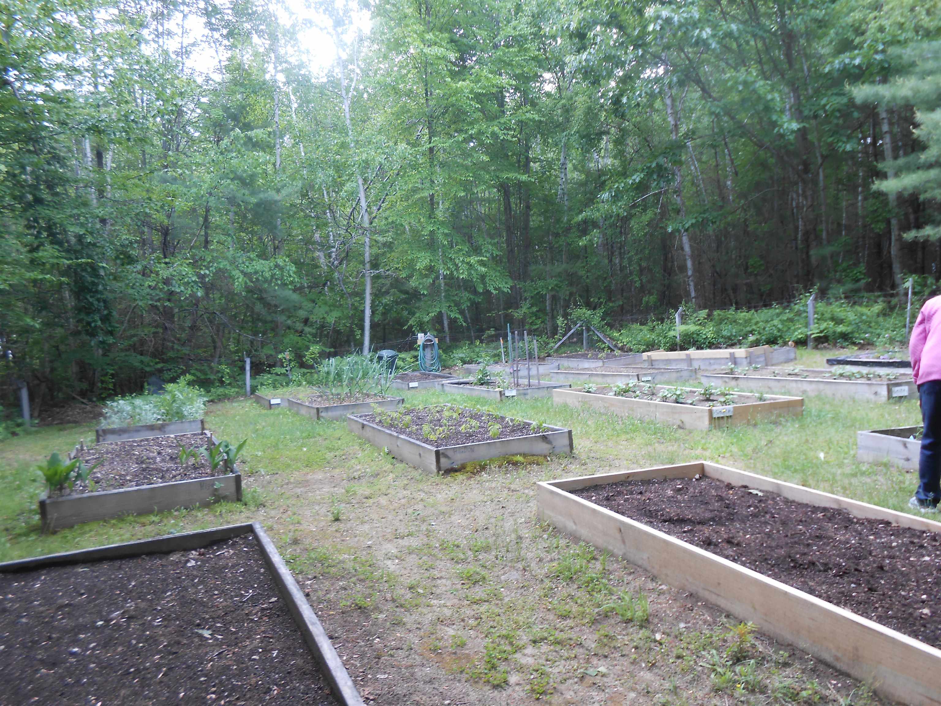 1 Harvey Brook Road Wolfeboro, NH 03894 - Photo 44 of 47