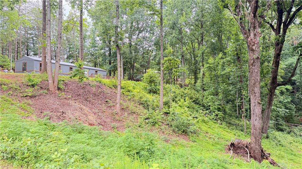 11 Iberian Road Dahlonega, GA 30533 - Photo 4 of 14