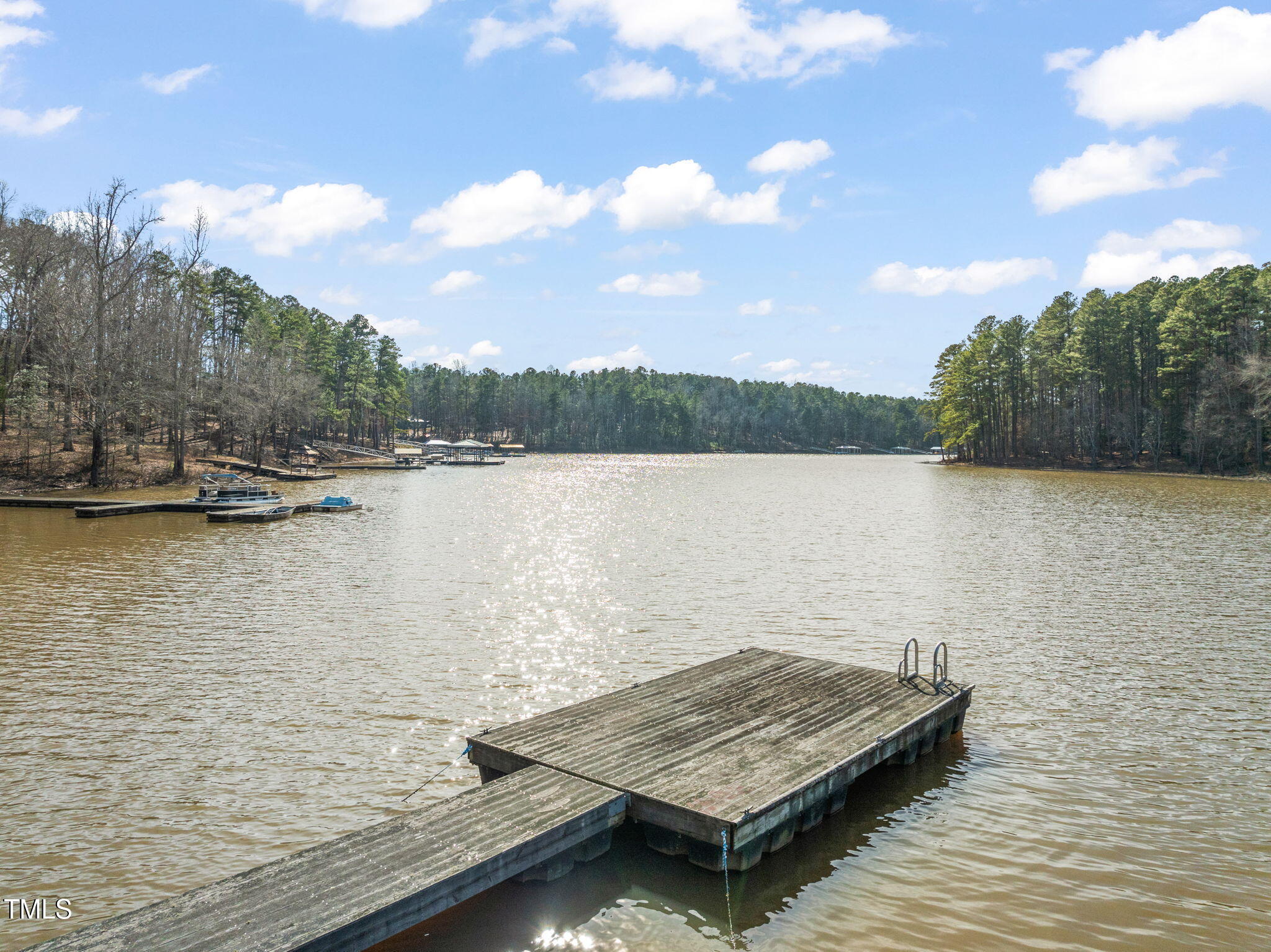 3041 Jacksontown Road Manson, NC 27553 - Photo 27 of 29 2-web-or-mls-DJI_0701