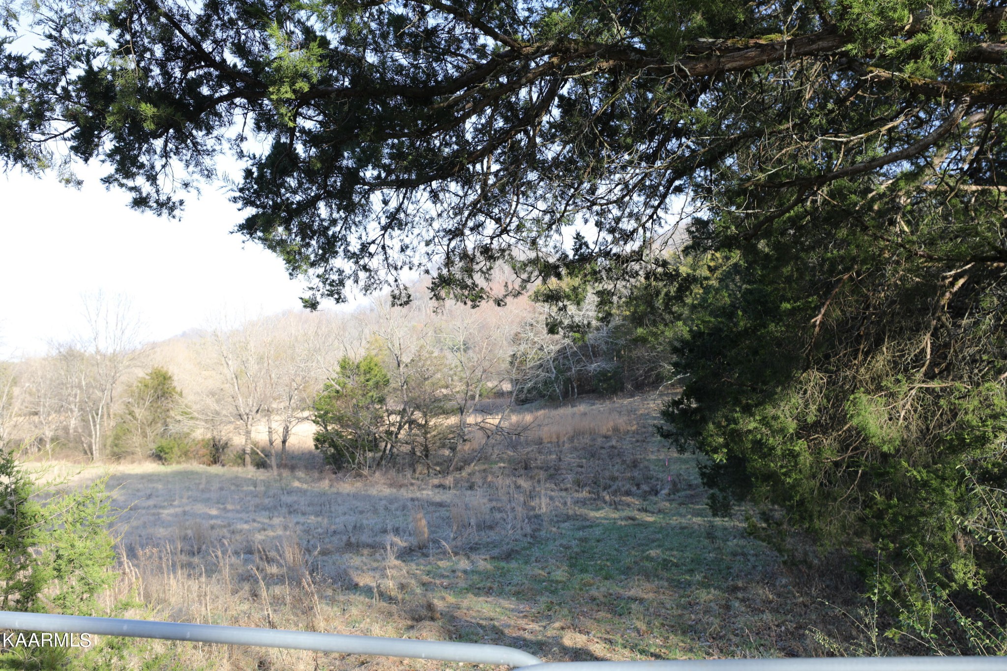 0 Sleepy Valley Road Madisonville, TN 37354 - Photo 5 of 24 Gallery Image 5
