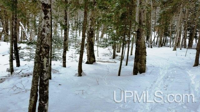 257 Kohon Road Crystal Falls, MI 49920 - Photo 30 of 32 Gallery Image 30