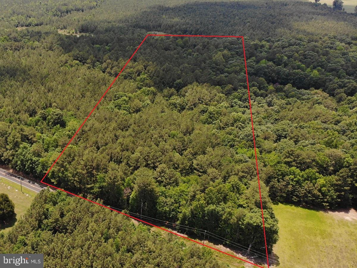 0 Salisbury Road Spring Grove, VA 23881 - Photo 10 of 23