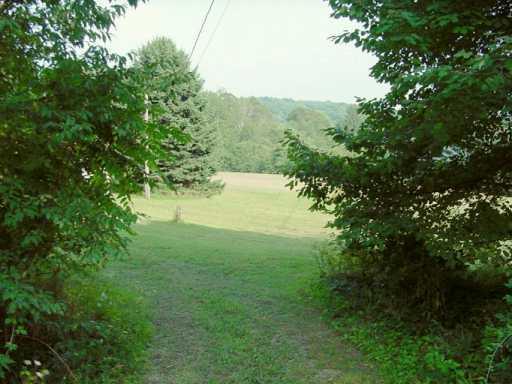 Maple Lane Ruffs Dale, PA 15679 - Photo 5 of 7