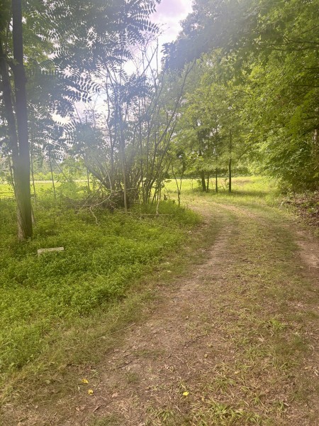 294 Haskell Winton Road Manchester, TN 37355 - Photo 5 of 14