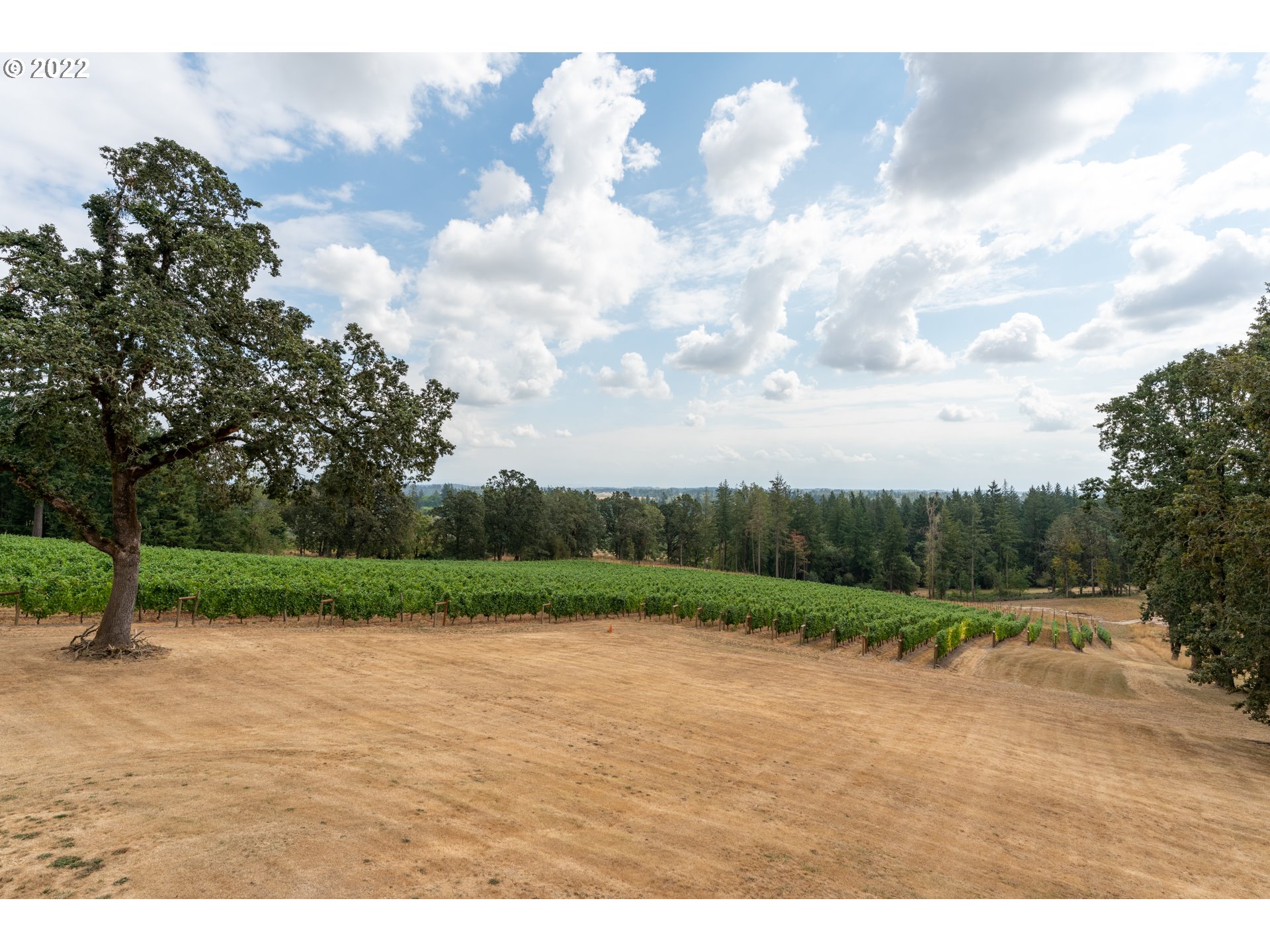 34094 Southwest Ladd Hill Road Wilsonville, OR 97070 - Photo 20 of 30 Gallery Image 20