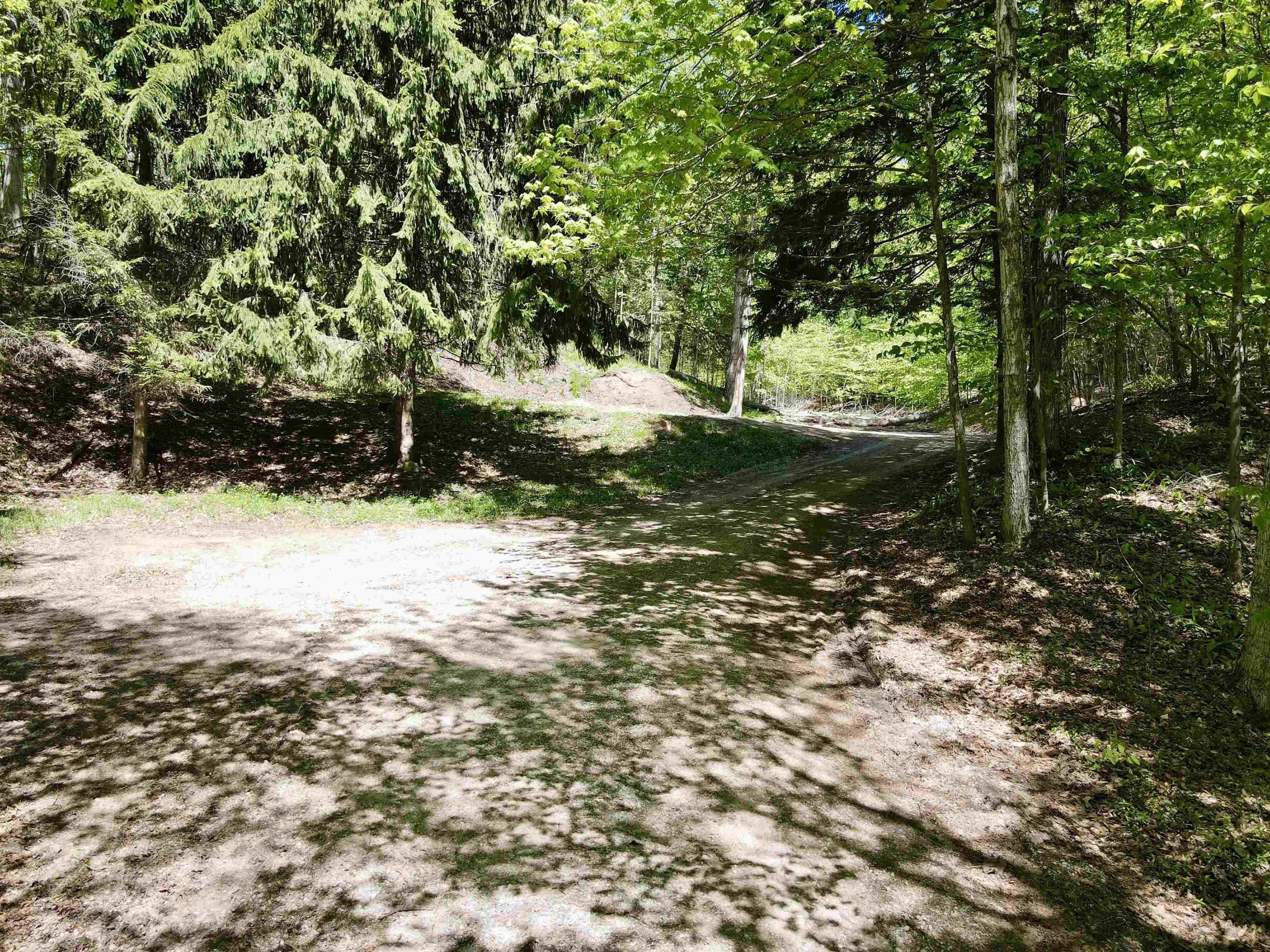 1801 East Old Mountain Road Cedar, MI 49621 - Photo 13 of 23