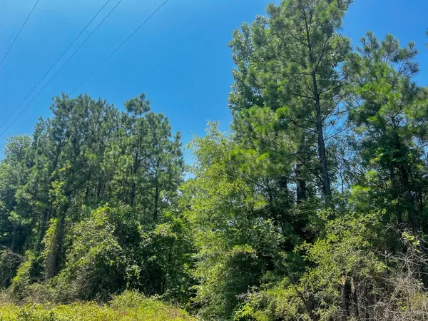 a view of a green field