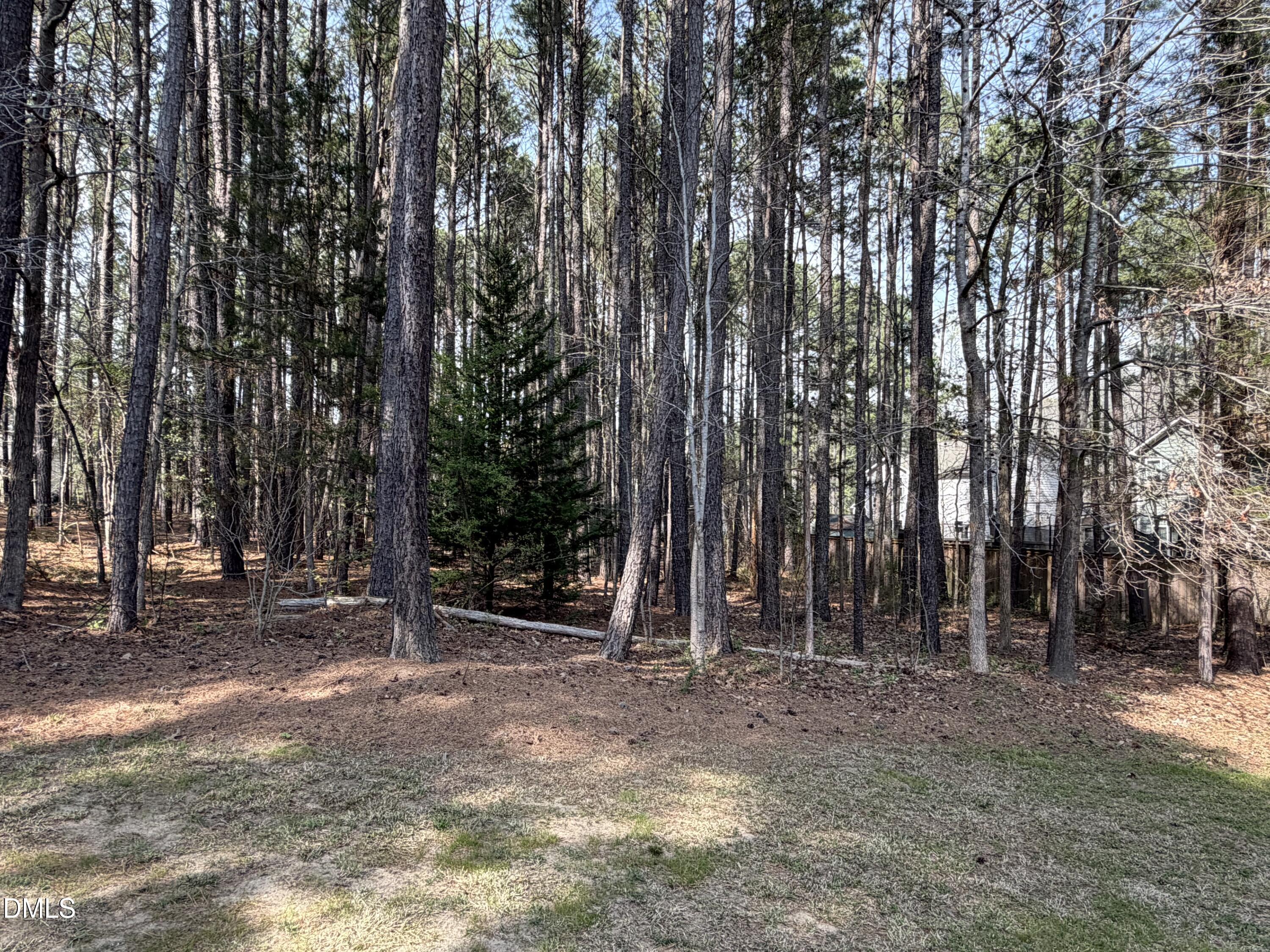 204 Blair Hills Road Wendell, NC 27591 - Photo 50 of 52 IMG_1698