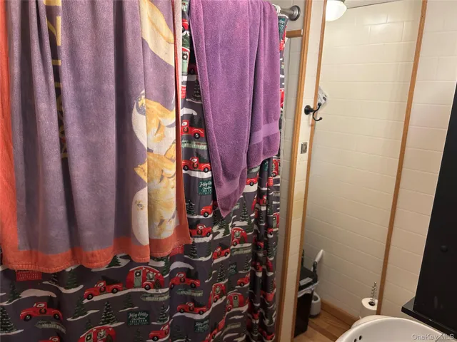 a bathroom with a toilet and shower curtain