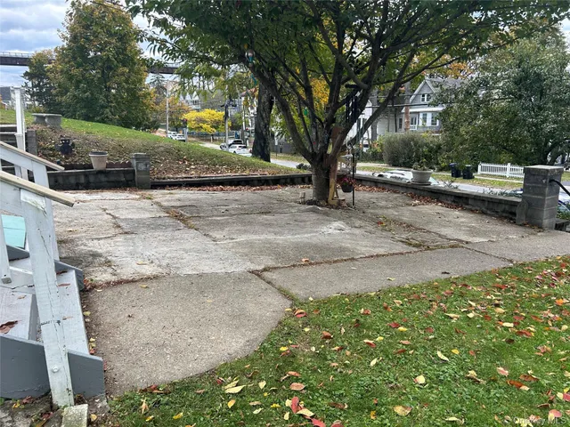 a street view with large trees