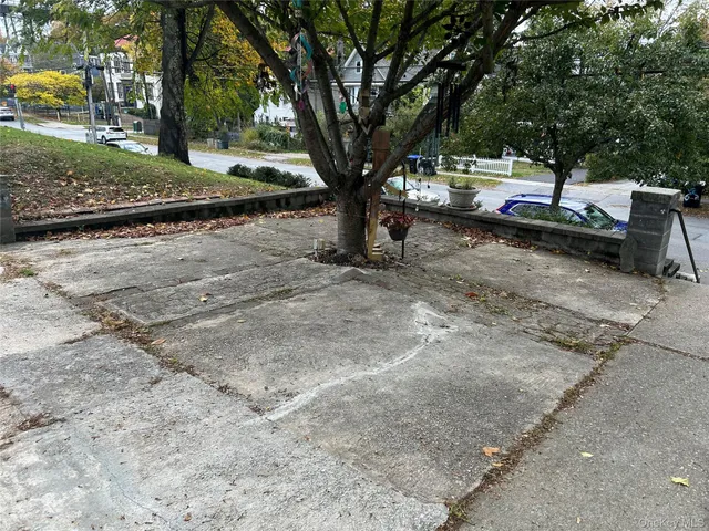 a view of yard with tree in back