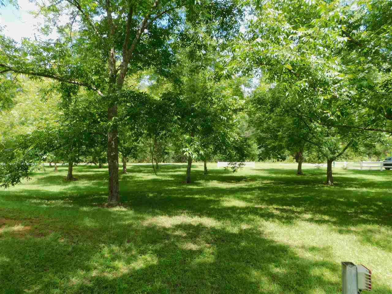 17002 Crystal Orchard Road Dozier, AL 36028 - Photo 18 of 19 Gallery Image 18