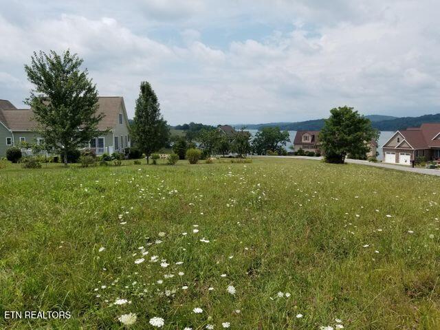 Fishers Loop Sharps Chapel, TN 37866 - Photo 8 of 18 Mountain lake views