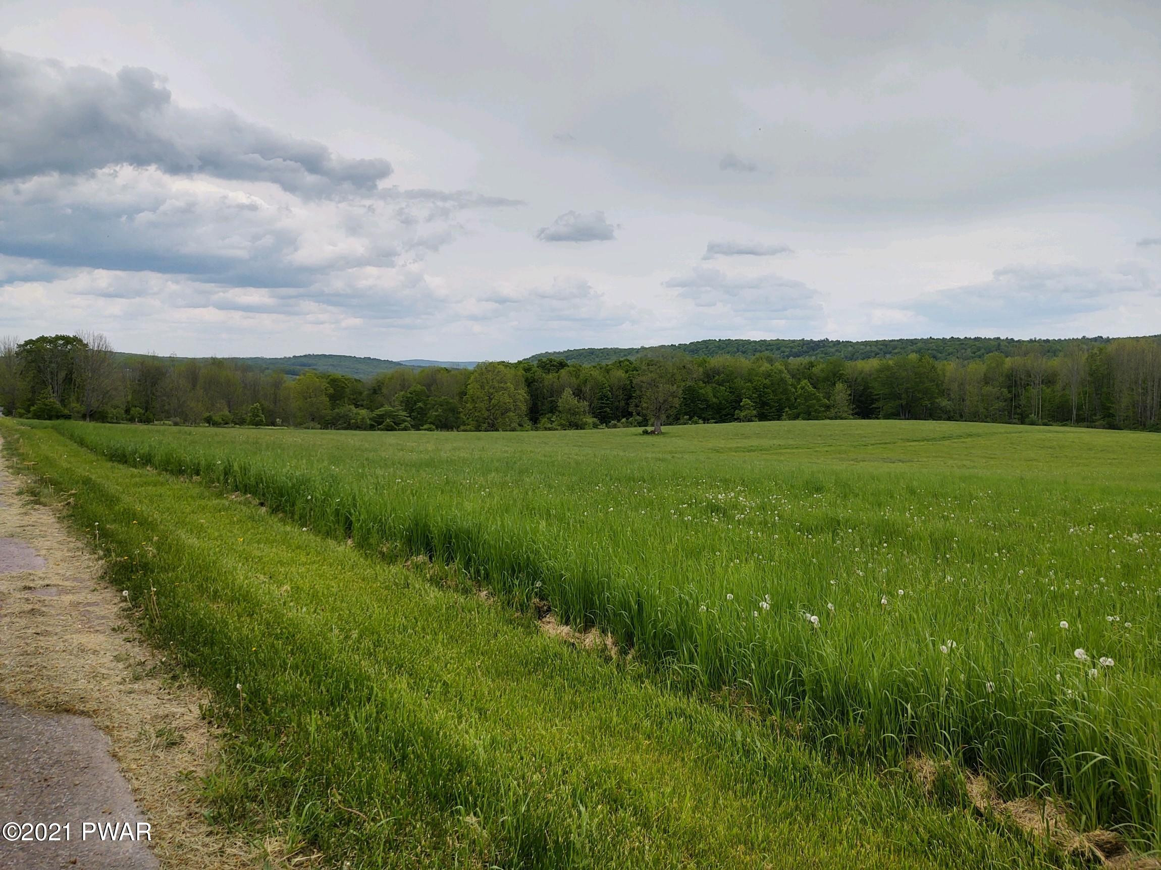 Joslyn Road Guilford, NY 13780 - Photo 10 of 11