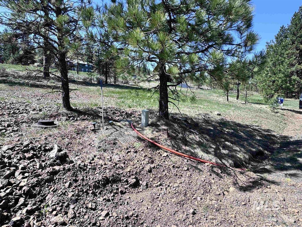 Lot 19 Hot Springs Road New Meadows, ID 83654 - Photo 2 of 28