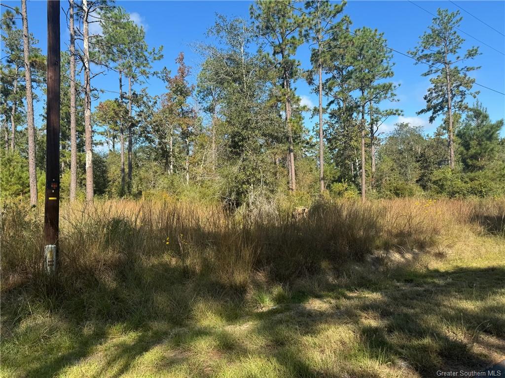 0 Ruth Drive Ragley, LA 70657 - Photo 2 of 6