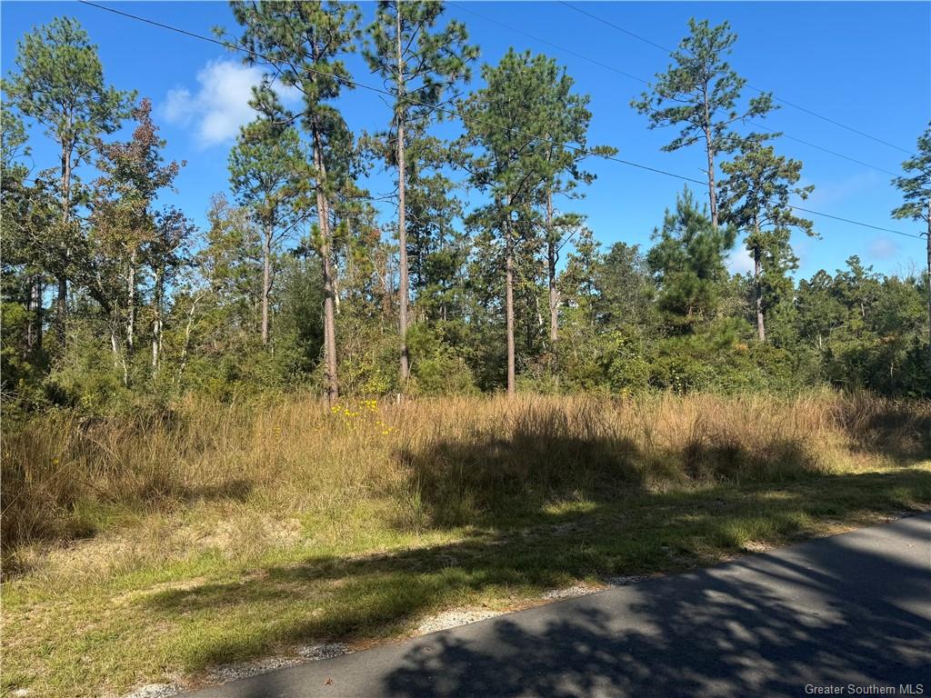 0 Ruth Drive Ragley, LA 70657 - Photo 3 of 6