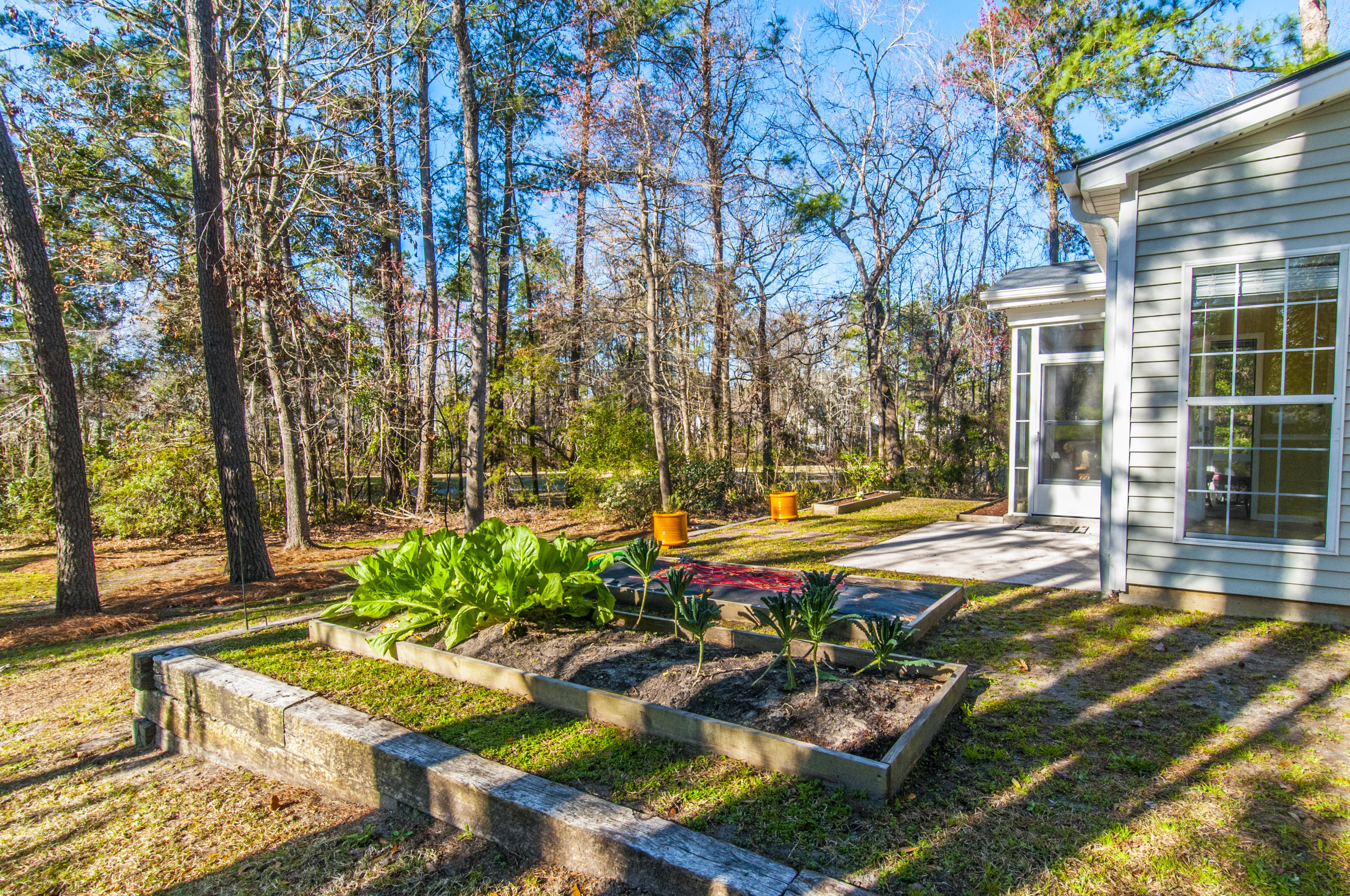 903 Course View Court Summerville, SC 29485 - Photo 53 of 67 _DSC5089