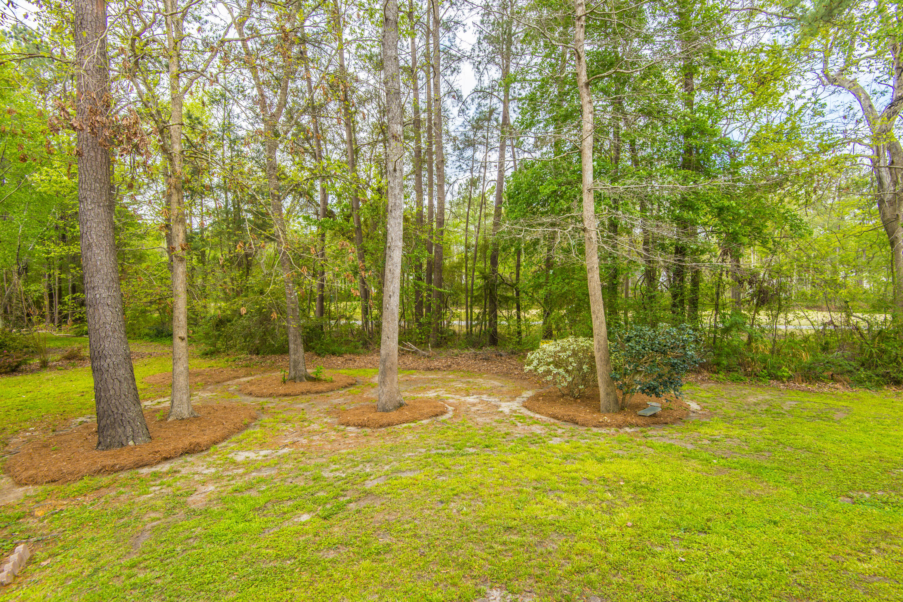 903 Course View Court Summerville, SC 29485 - Photo 56 of 67 _DSC3894
