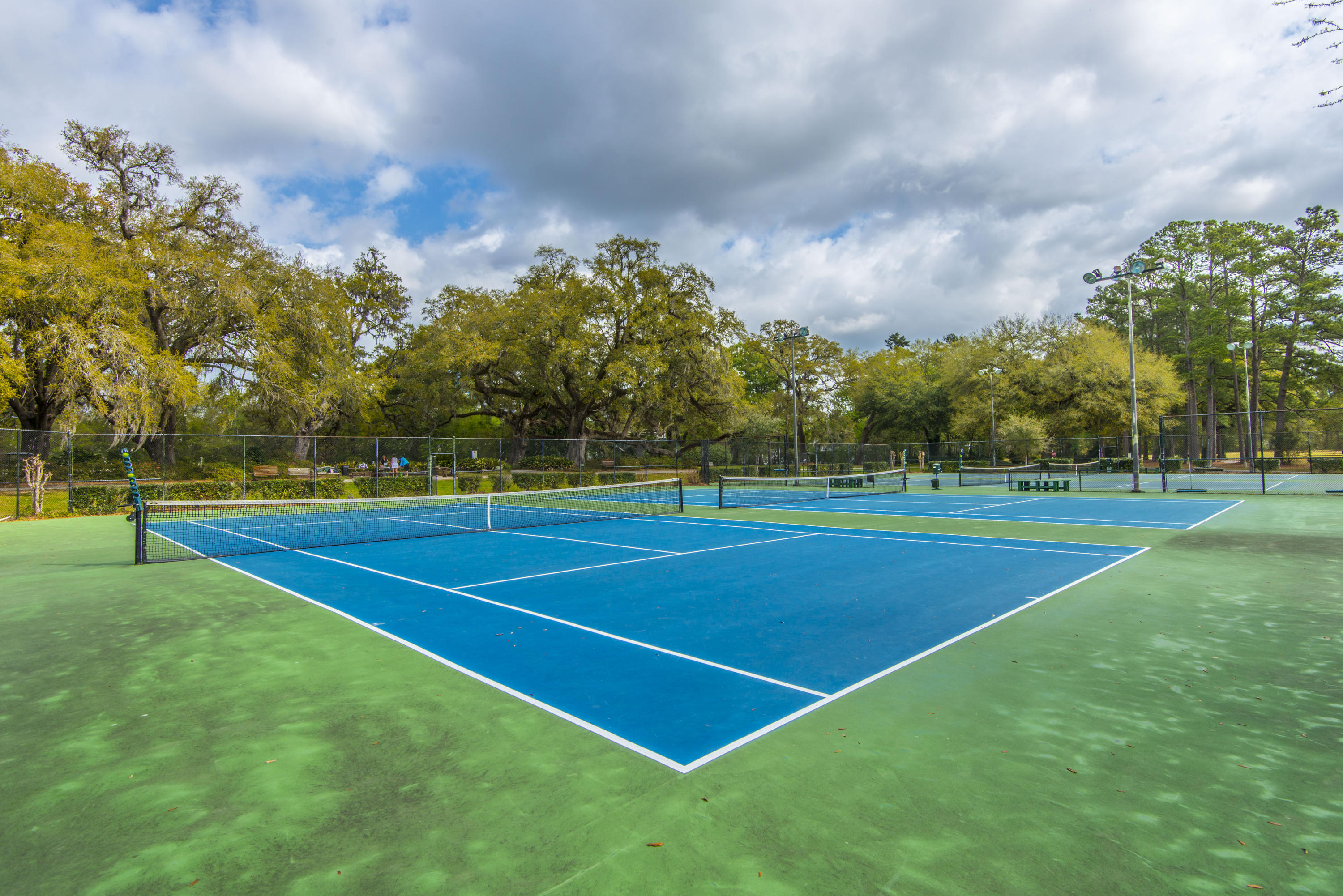 903 Course View Court Summerville, SC 29485 - Photo 62 of 67 _DSC3902