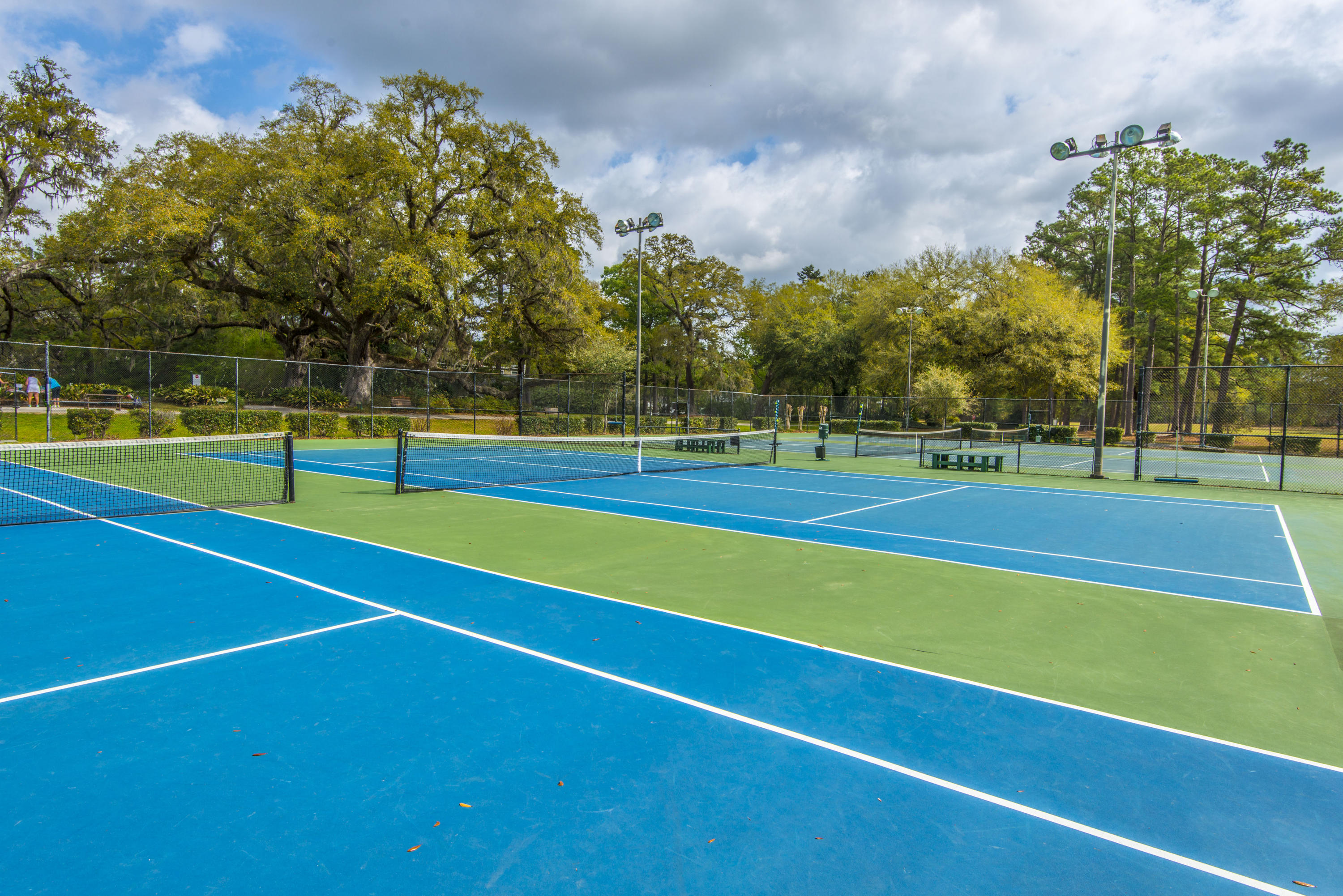 903 Course View Court Summerville, SC 29485 - Photo 63 of 67 _DSC3903