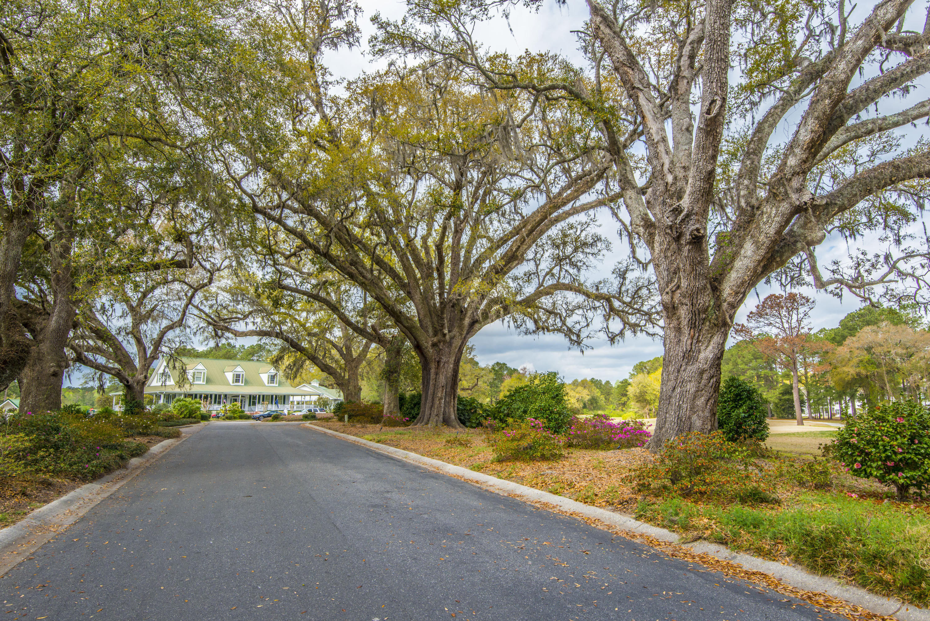 903 Course View Court Summerville, SC 29485 - Photo 64 of 67 _DSC3906