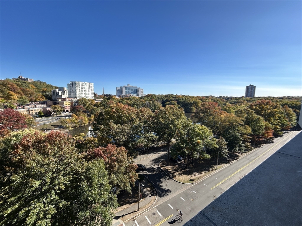 33 Pond Avenue, Unit 709 Brookline, MA 02445 - Photo 21 of 29