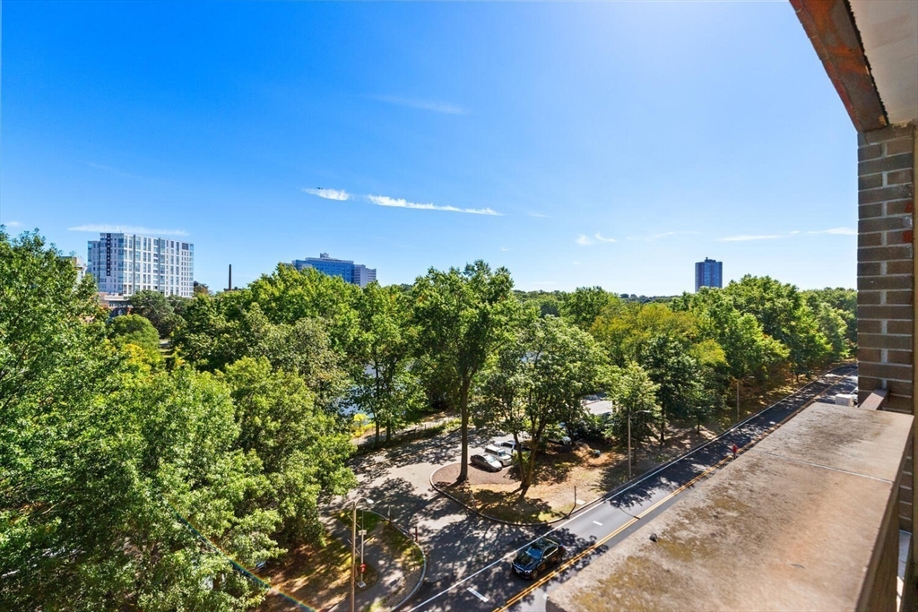 33 Pond Avenue, Unit 709 Brookline, MA 02445 - Photo 26 of 29 a view of a bunch of trees and bushes