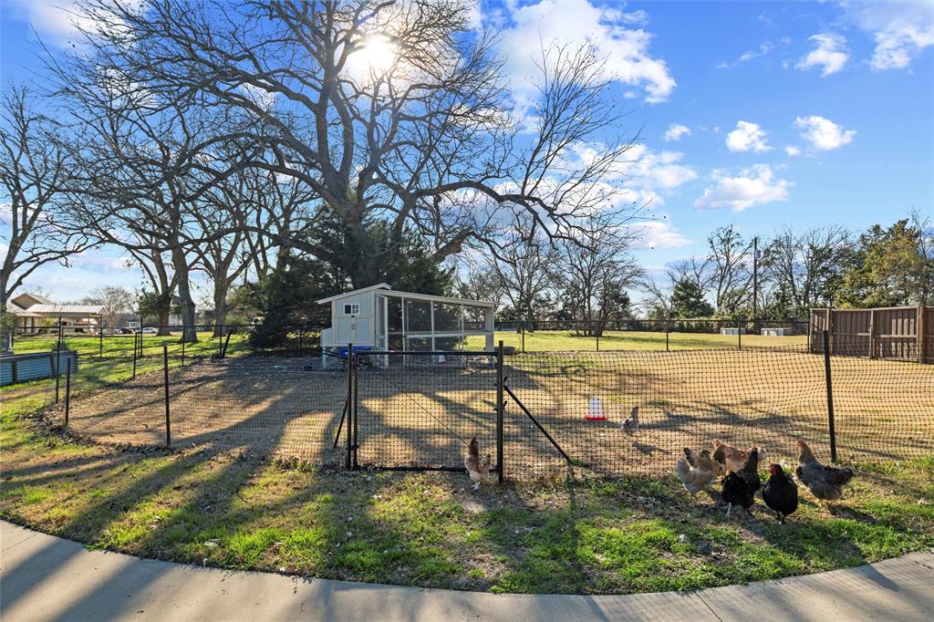 1546 Bluff Springs Road Ferris, TX 75125 - Photo 40 of 40
