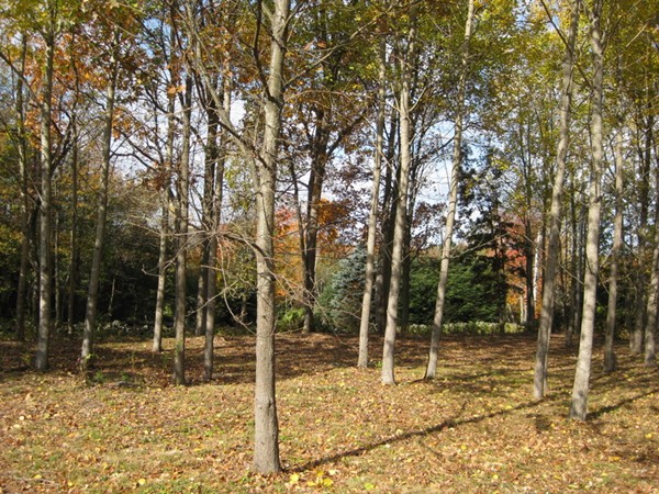 Gallery Image 6