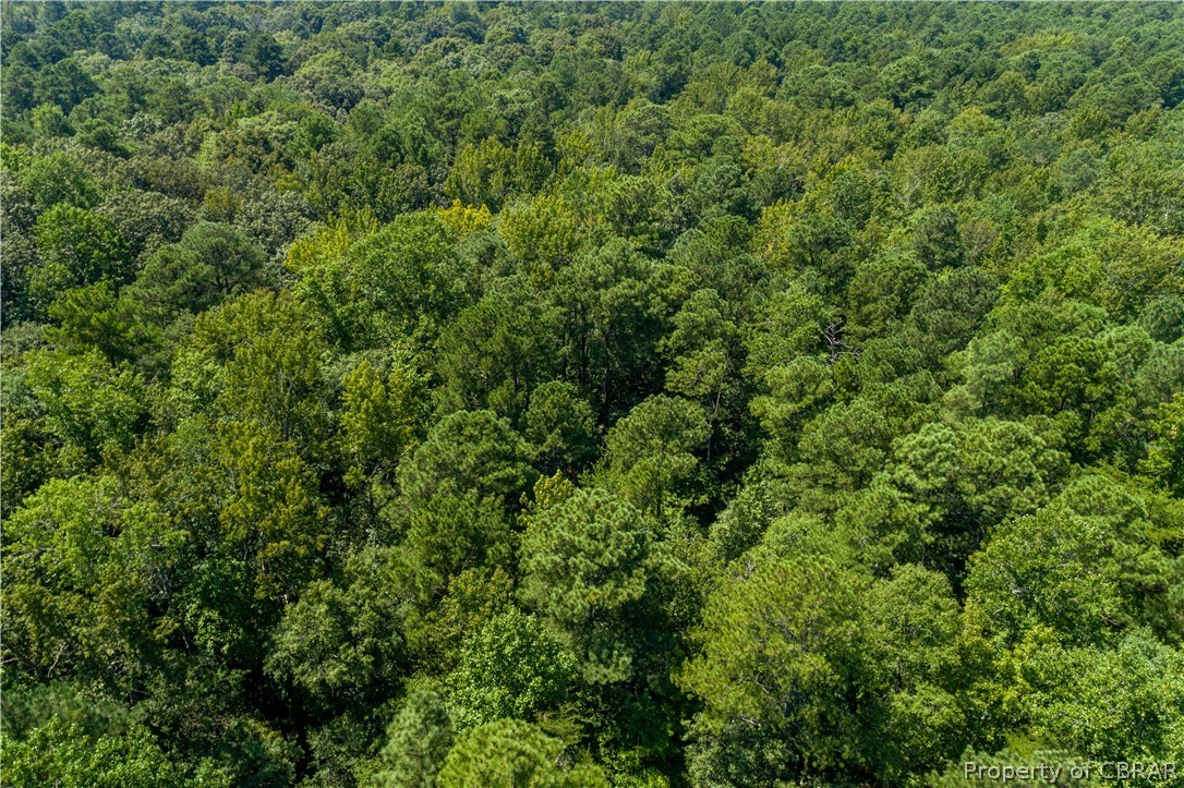 10-ac Willis Road Gloucester, VA 23061 - Photo 6 of 10