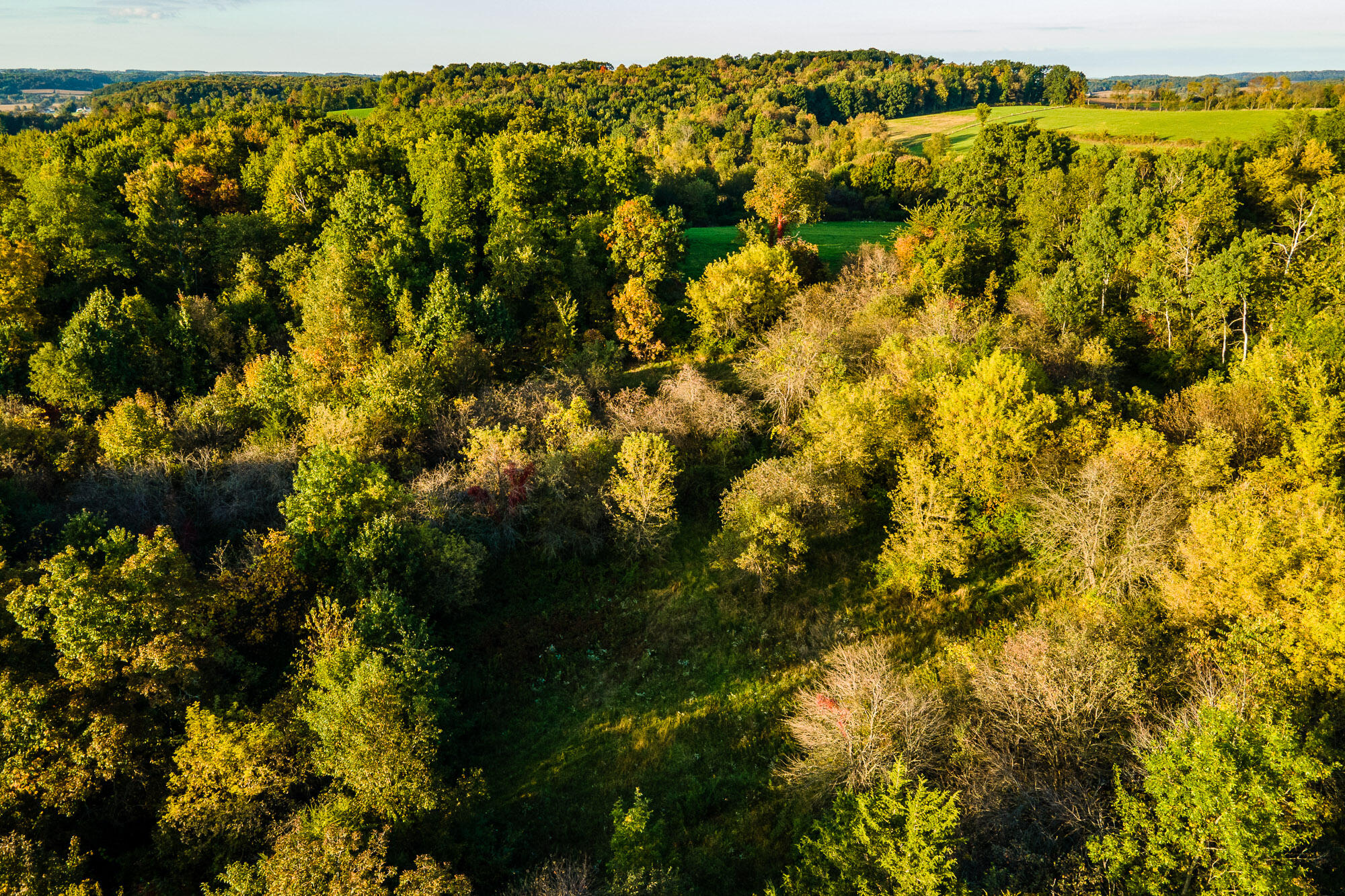 Lt1 Eli Valley Road Loganville, WI 53943 - Photo 18 of 49 Sauk-County-WI-68-Acres-Land-For-Sale-Fa