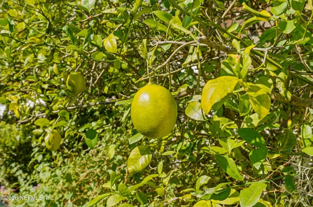 $7,995,000 | 193 Admirals Way South, Ponte Vedra Beach, FL 32082