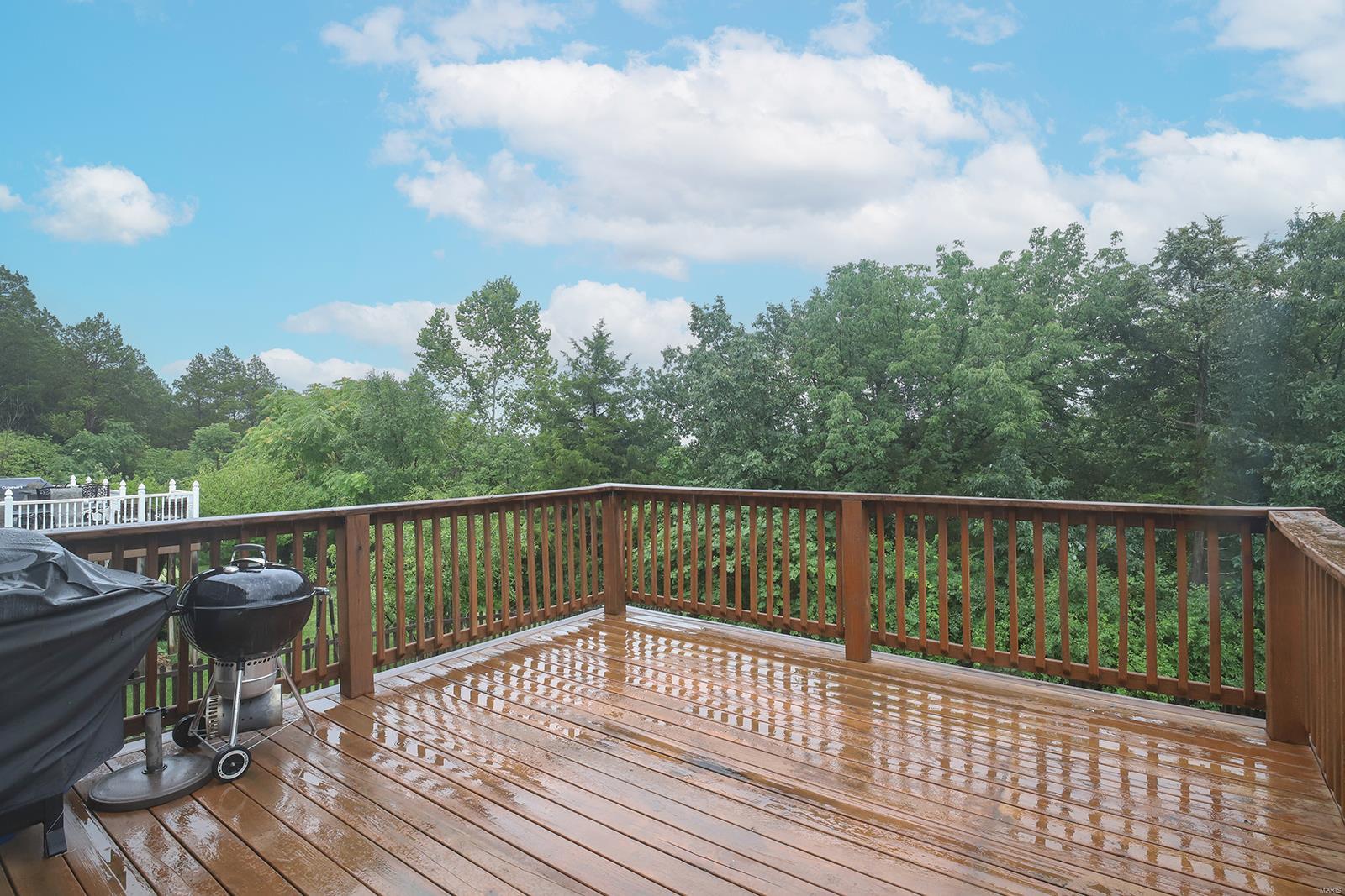 6688 Eagles View Drive Pacific, MO 63069 - Photo 26 of 33