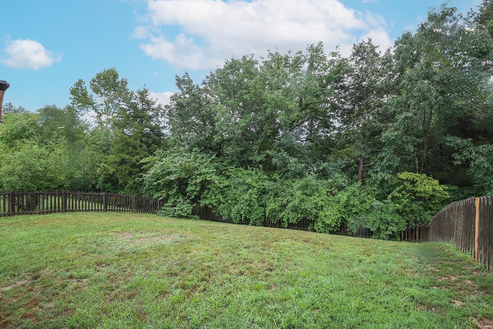 6688 Eagles View Drive Pacific, MO 63069 - Photo 29 of 33